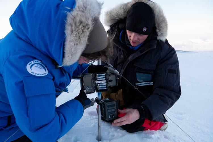 Joanna Sulich and BJ Kirschhoffer install a camera for the Svalbard maternal den study. 