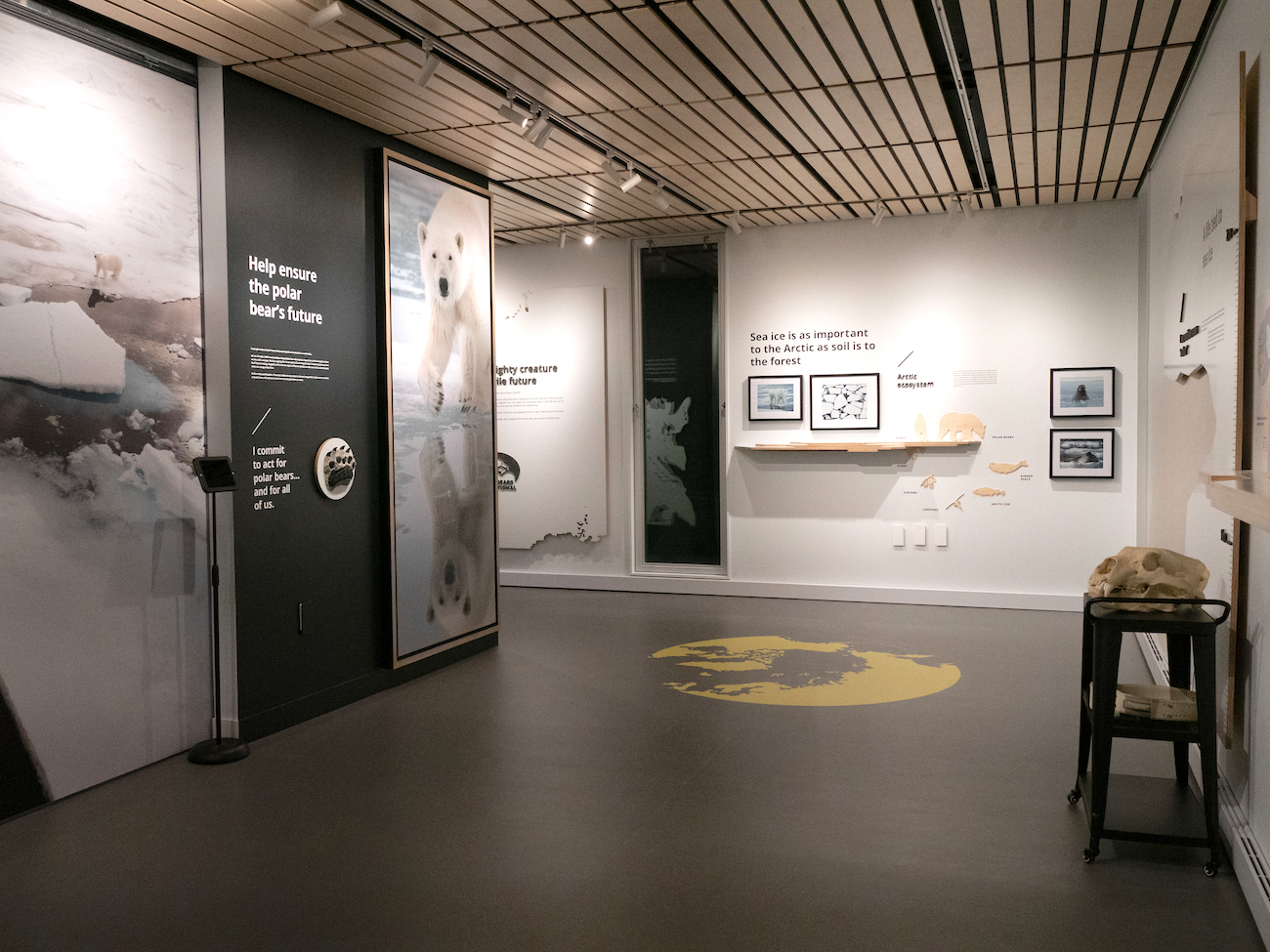 Inside the Polar Bears International House