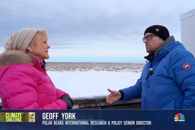 NBC's Anne Thompson and Polar Bears International's Geoff York on a Tundra Buggy in Churchill