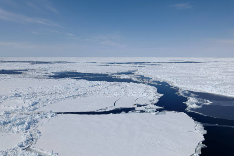 Sea ice of Hudson Bay showing the fragmented nature and challenges of finding polar bears