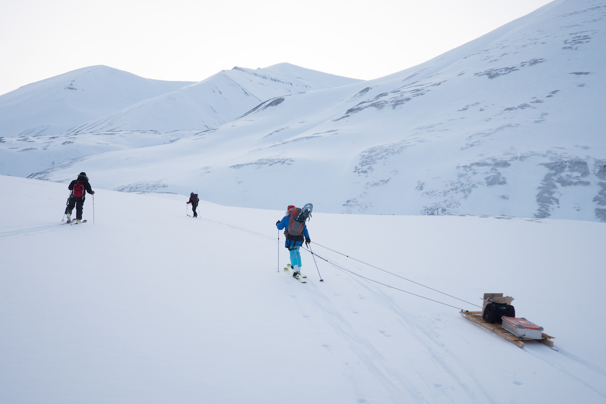 Polar bear researches head into the field on skis in Svalbard
