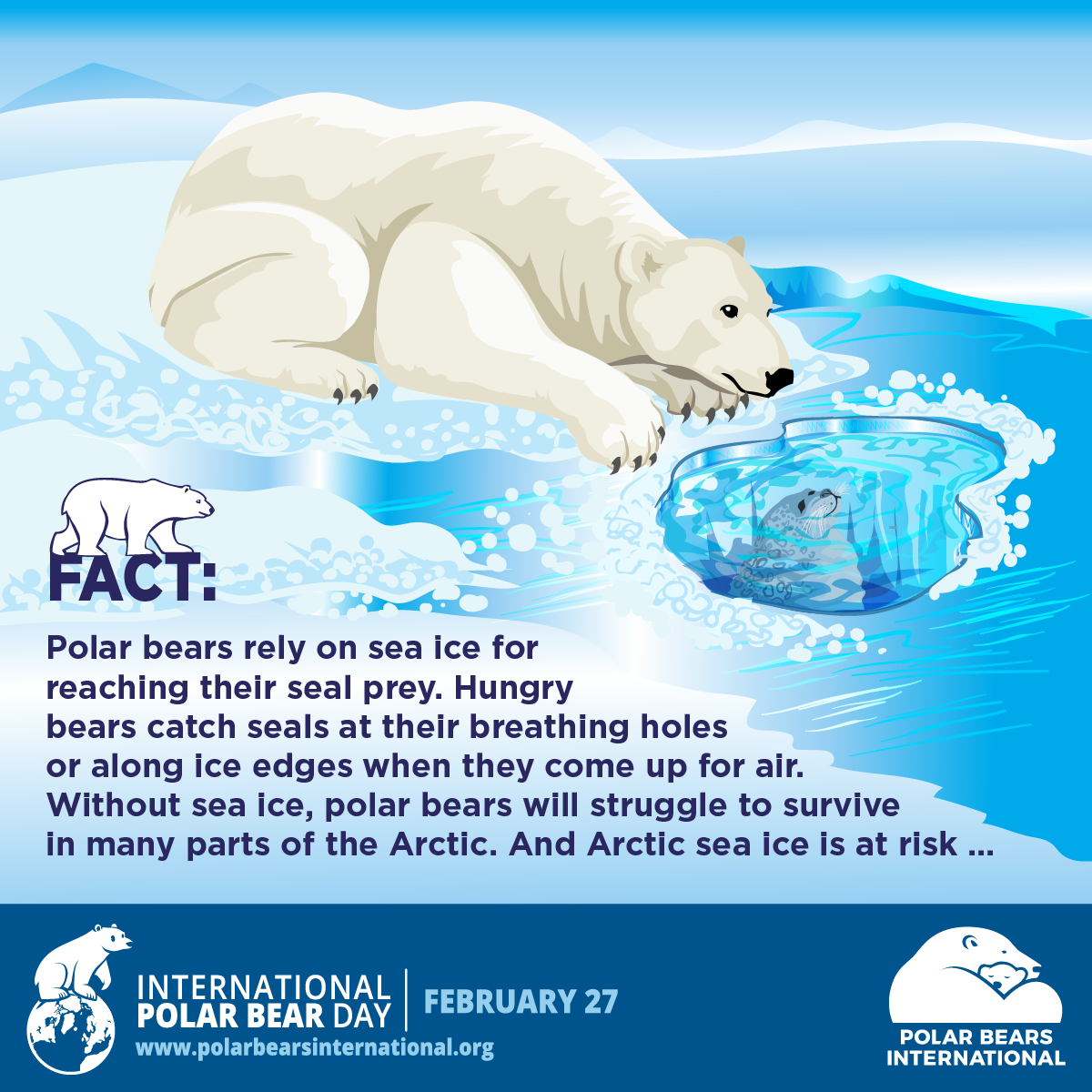 Why polar bears are no longer the poster image of climate change