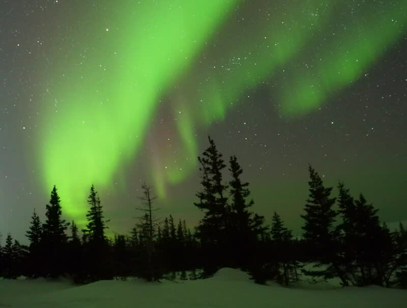 Northern lights in Churchill, Manitoba