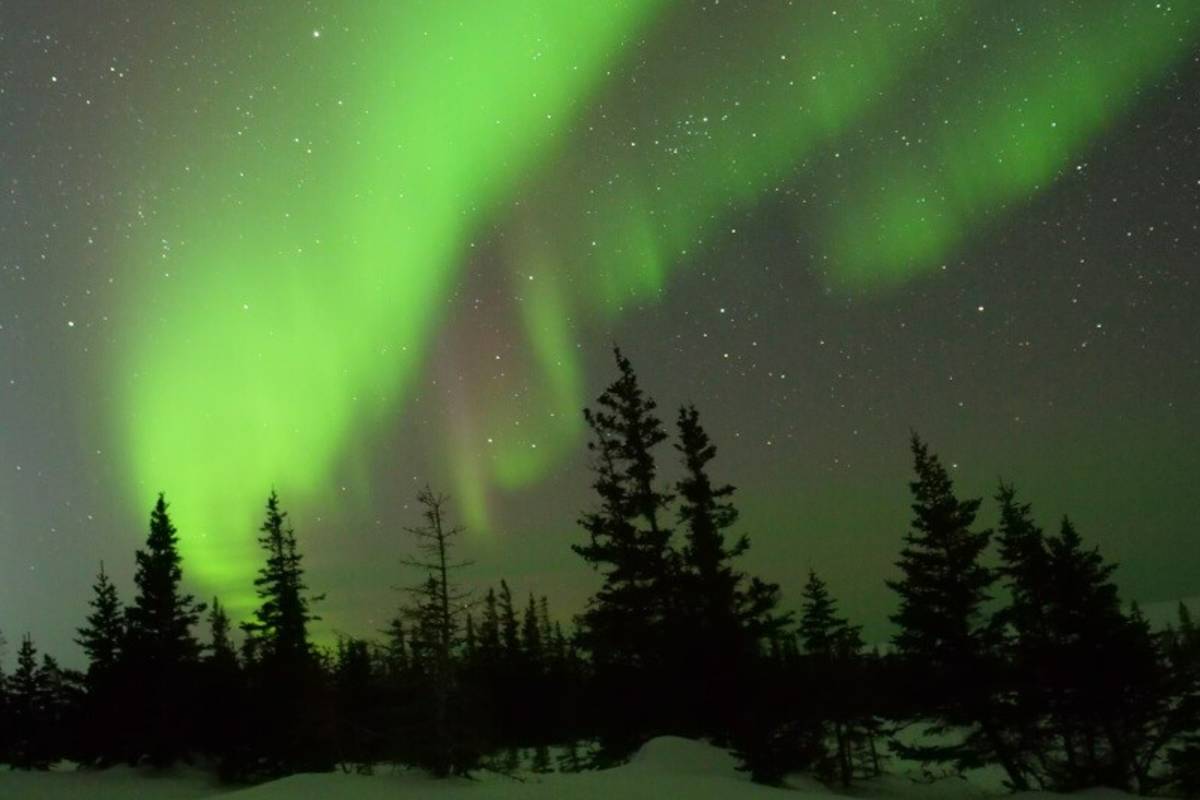 Northern lights in Churchill, Manitoba