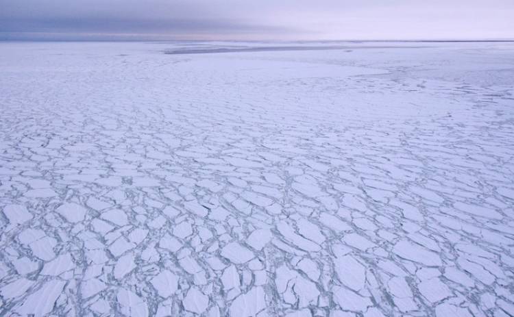 Overhead view of fragmented sea ice.