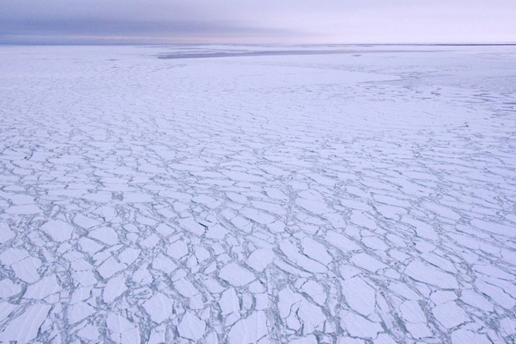 Overhead view of fragmented sea ice.