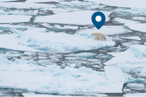NEW * Arctic Outfit Activity - Geography - Activities