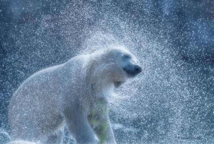Build A Bear Polar Bear Plush w/ Fishing Pole and Jacket - 14” White BAB 
