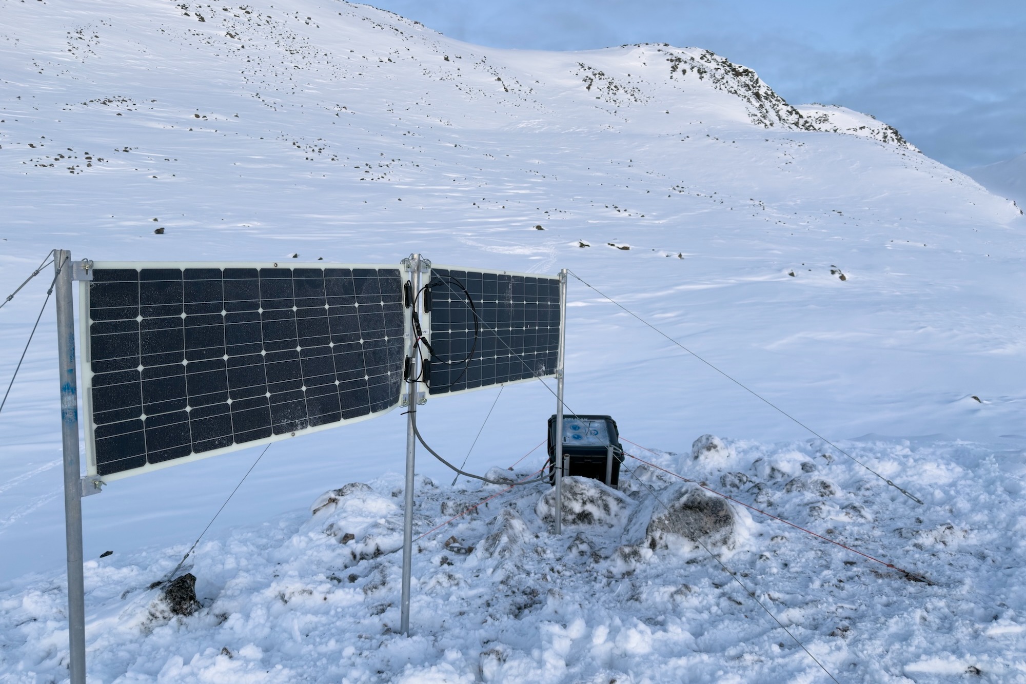 The maternal den cam deployed in the field