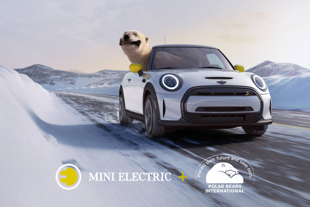 Animated polar bear leaning out the window of a Mini Cooper SE with its tongue hanging out