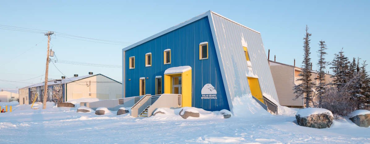 Polar Bears International House