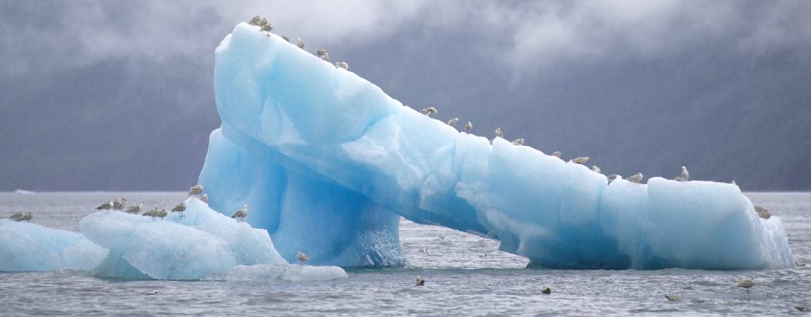 Iceberg image