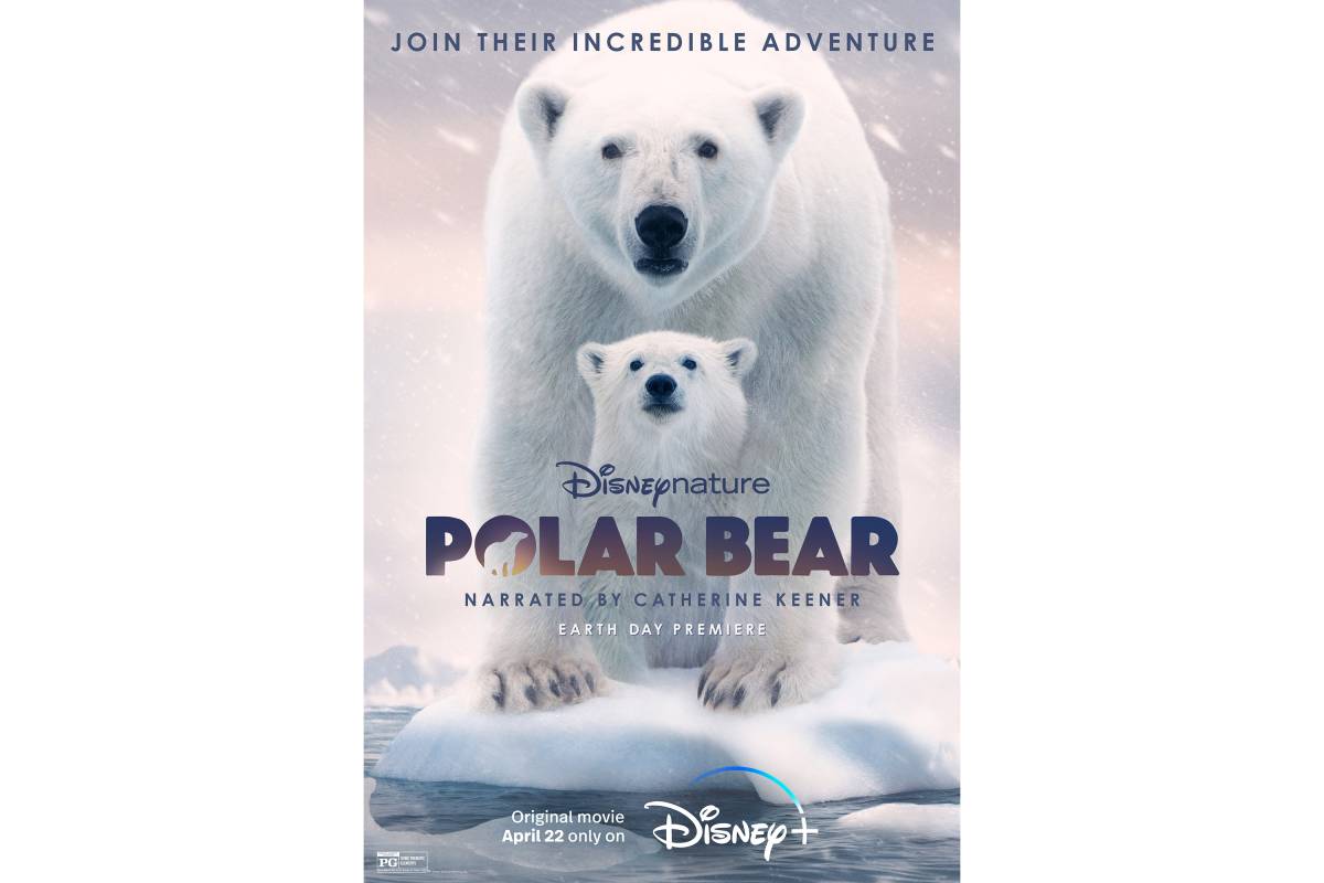 Disneynature "Polar Bears" film poster