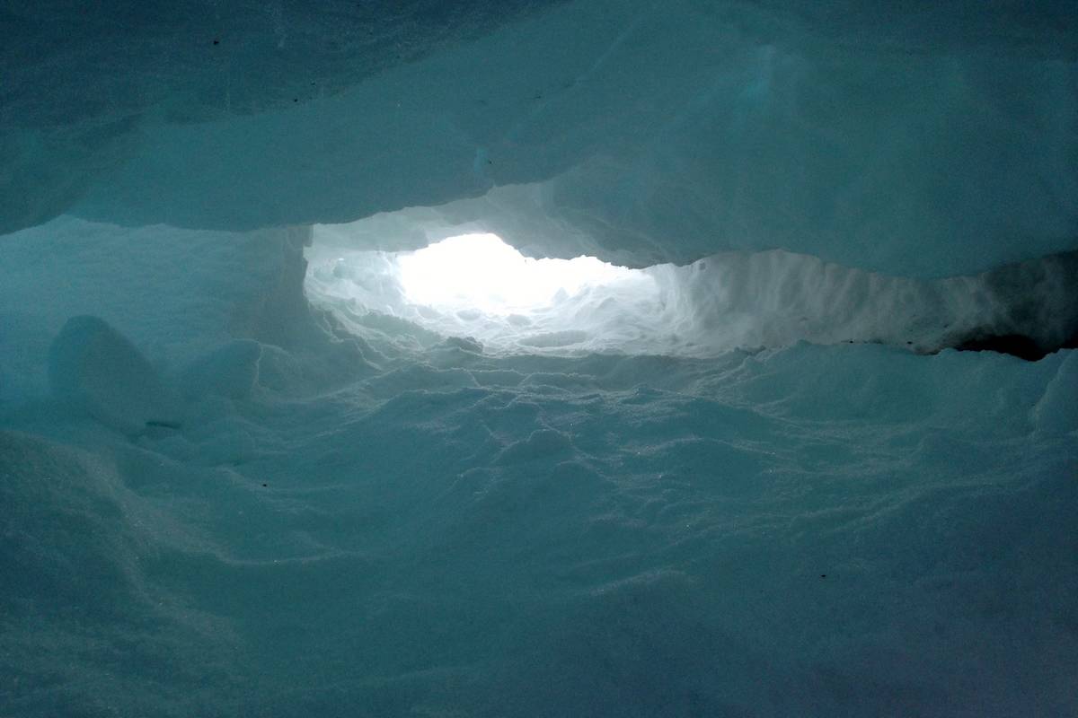 Looking out from the inside of an empty polar bear den