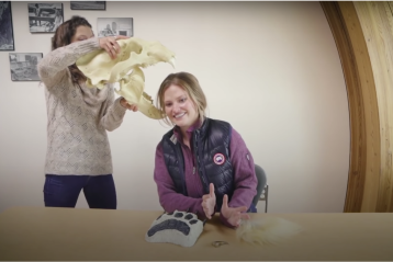 Two PBI team members on a live webcast