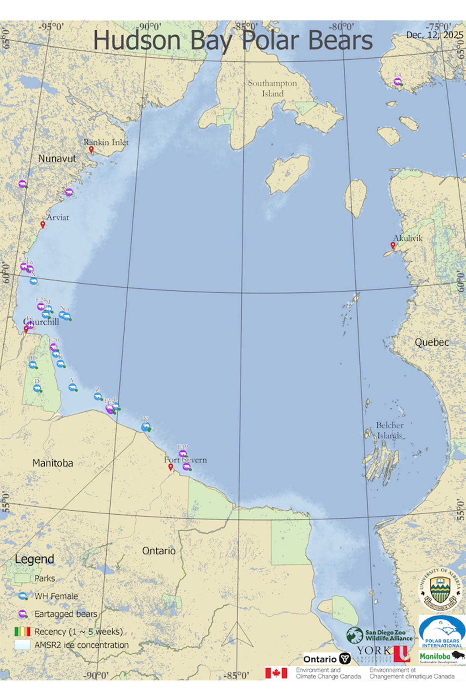 Hudson Bay Polar Bears tracking map Dec. 12, 2025