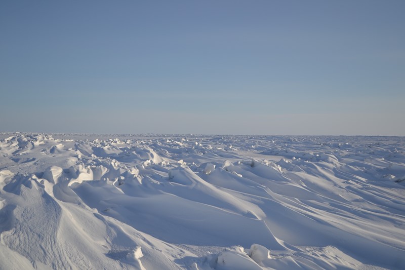 Snow drifts on the sea ice