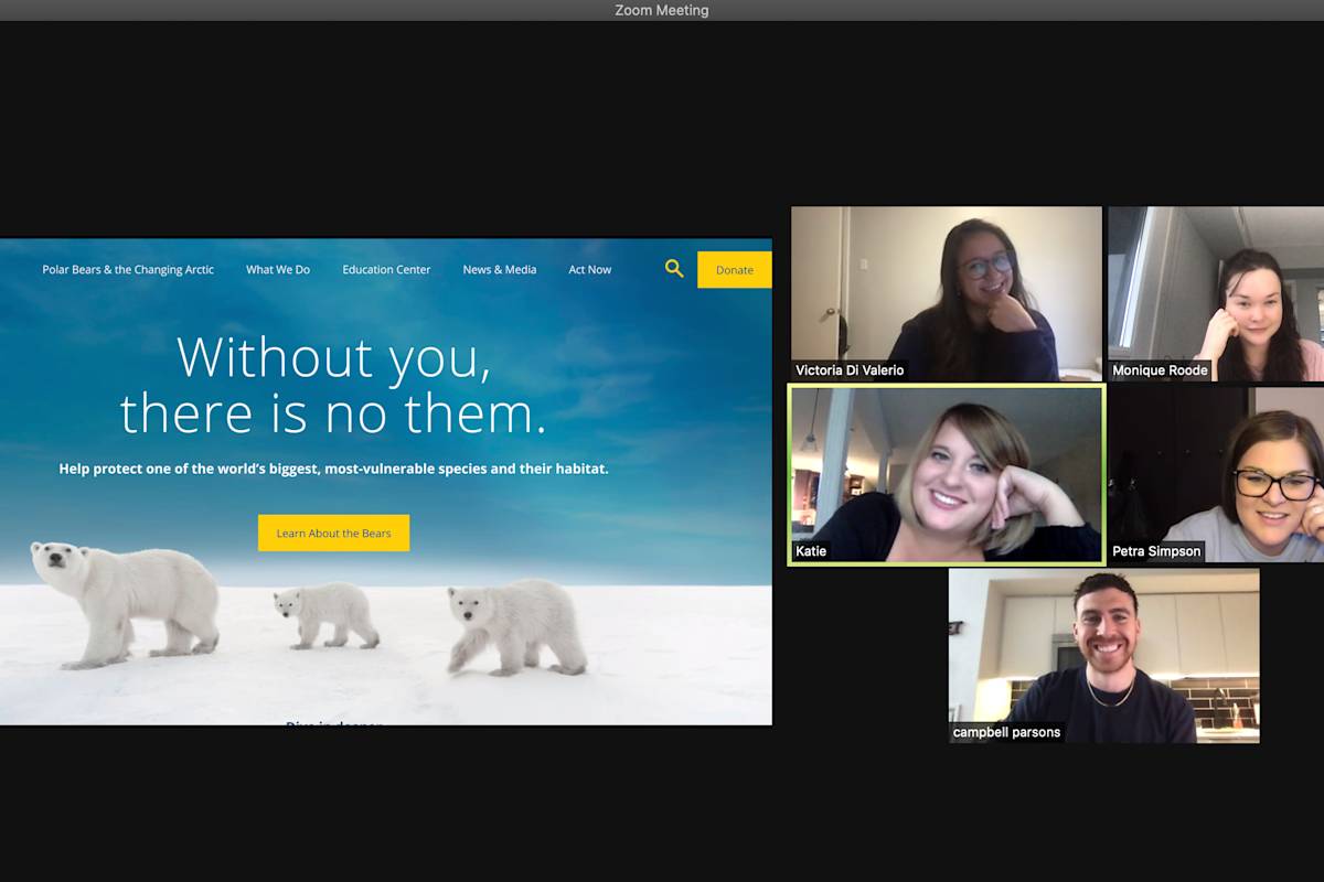 No Fixed Address Web Development Team