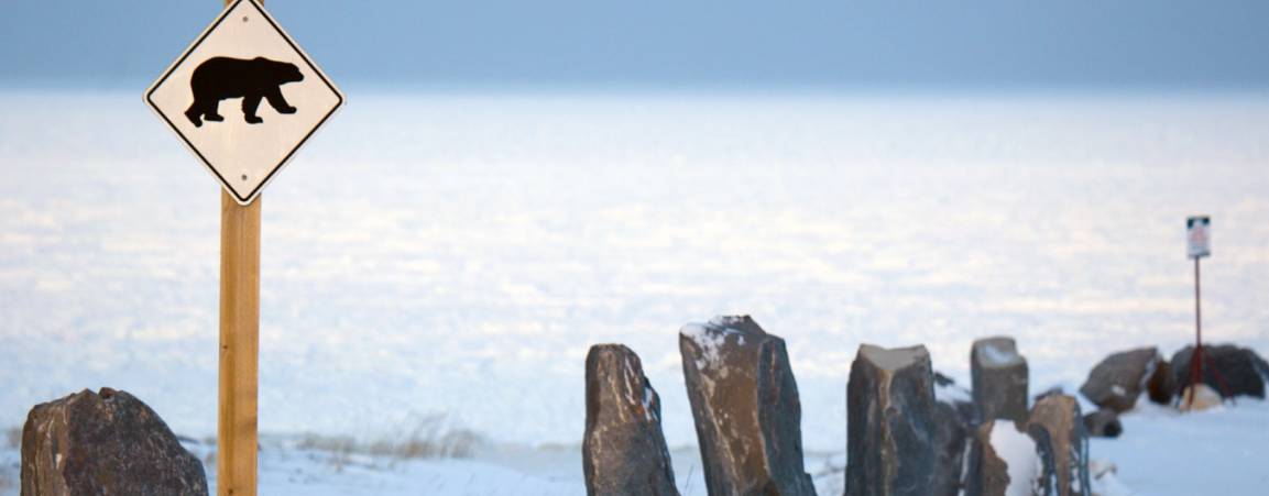 Nearby community in the Arctic
