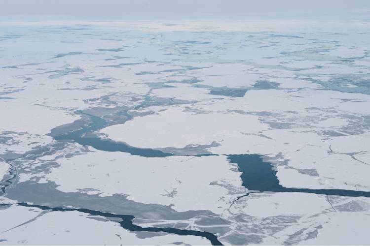 Arctic Landscape