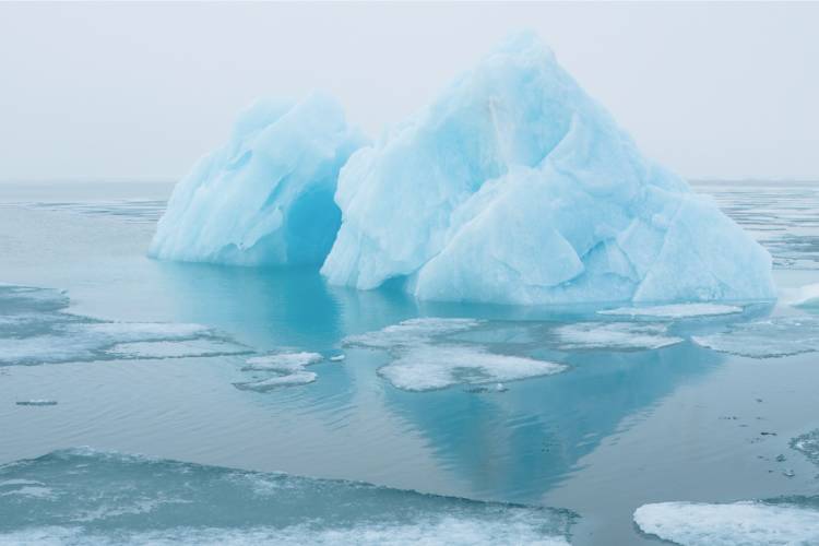 A group of glaciers surrounded by open water