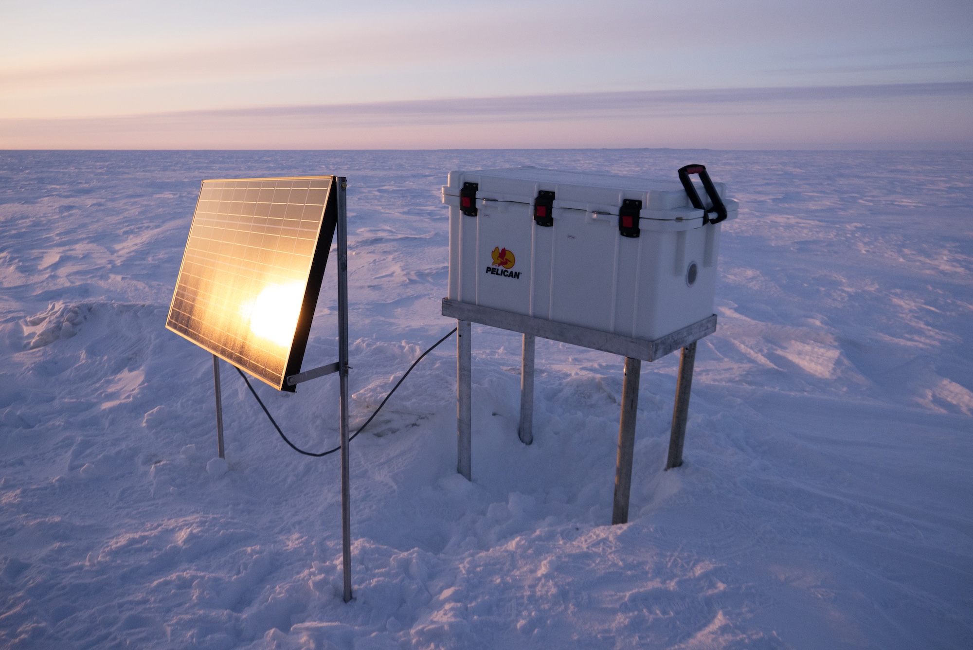Cooler Cameras in the early days of the maternal den study in Alaska