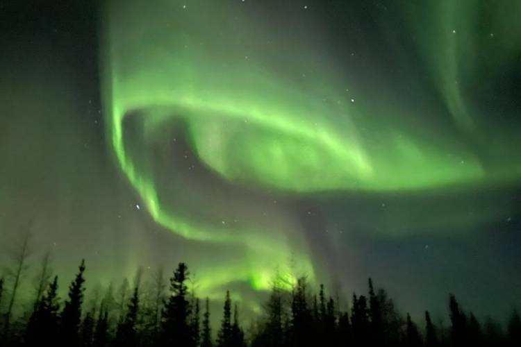 Green bands of northern lights ripple across the night sky.