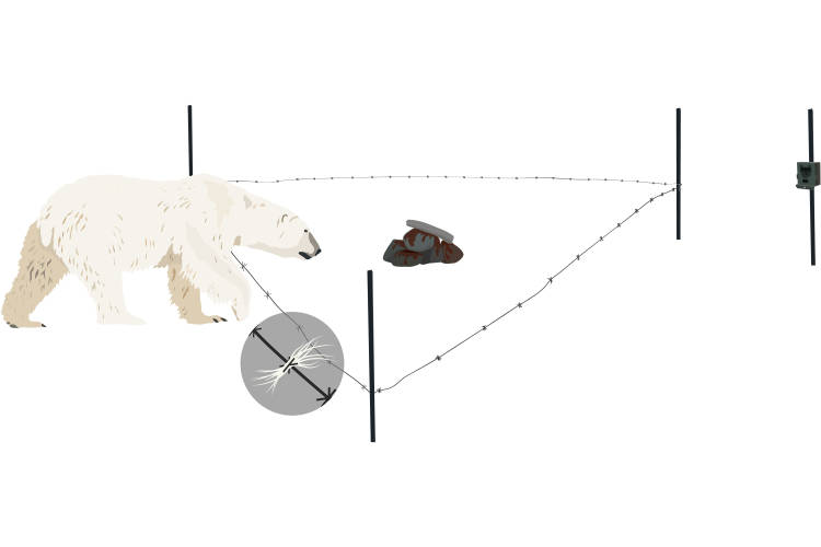 Diagram of the hair snare and camera trap sampling station