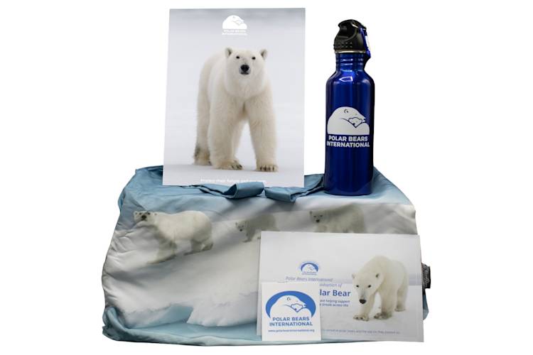 PBI Save Our Sea Ice Symbolic Adoption Kit