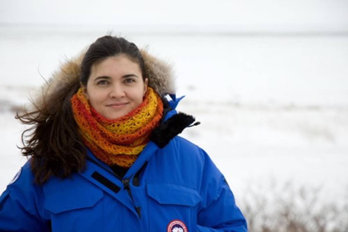 Scientist Thea Bechshoft in the vastness of an Arctic landscape