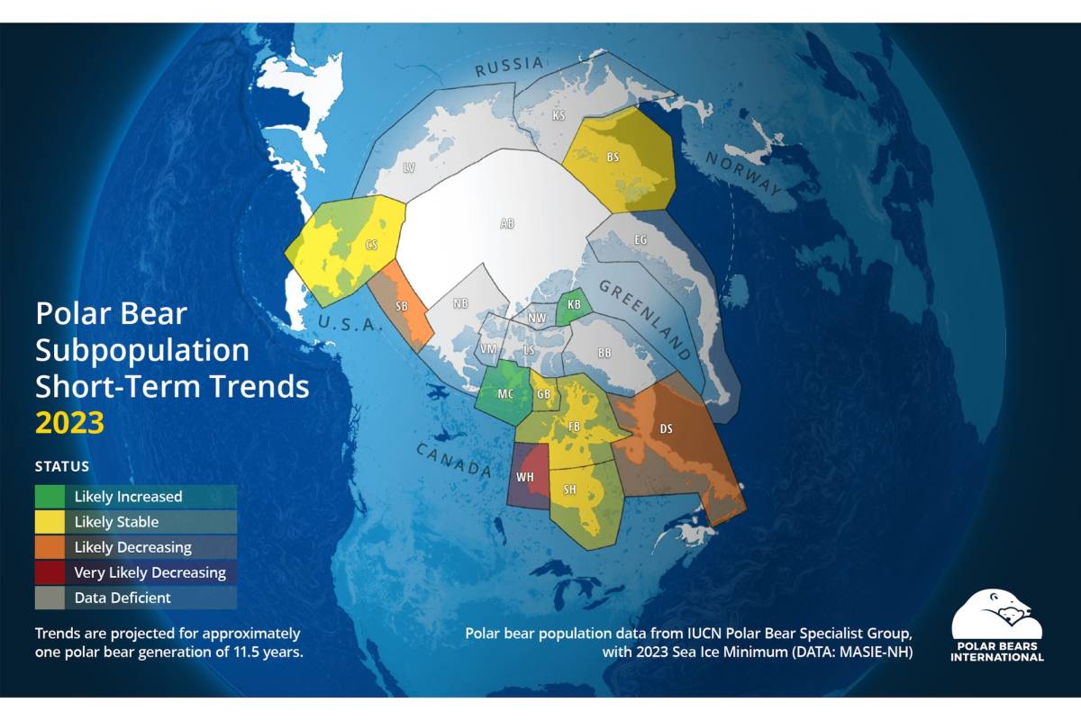 Status of the 19 polar bear populations