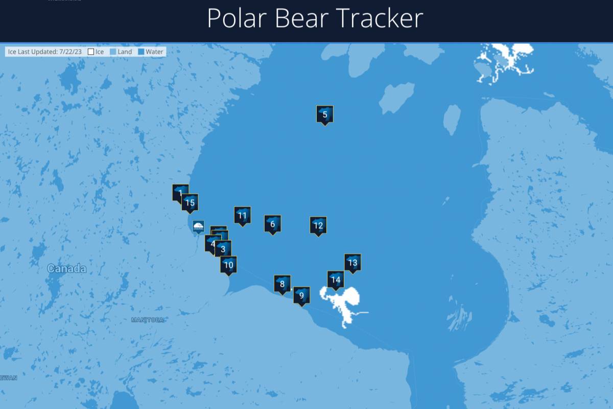 A screenshot of the Polar Bear Tracker in July