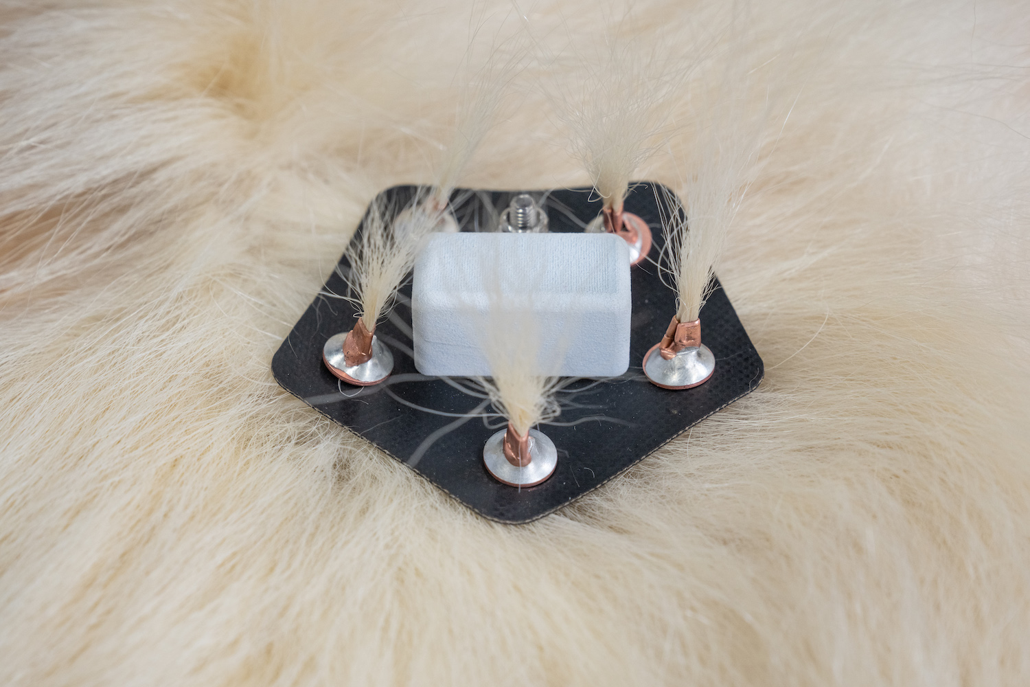 A Burr on Fur tracking device prototype