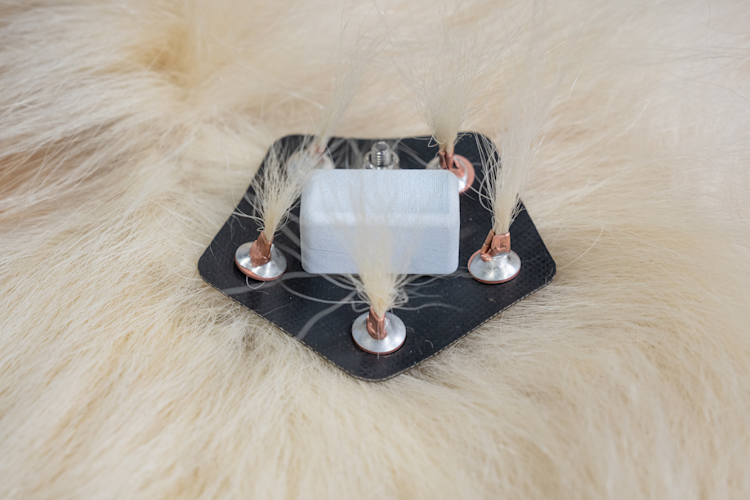 A Burr on Fur tracking device prototype