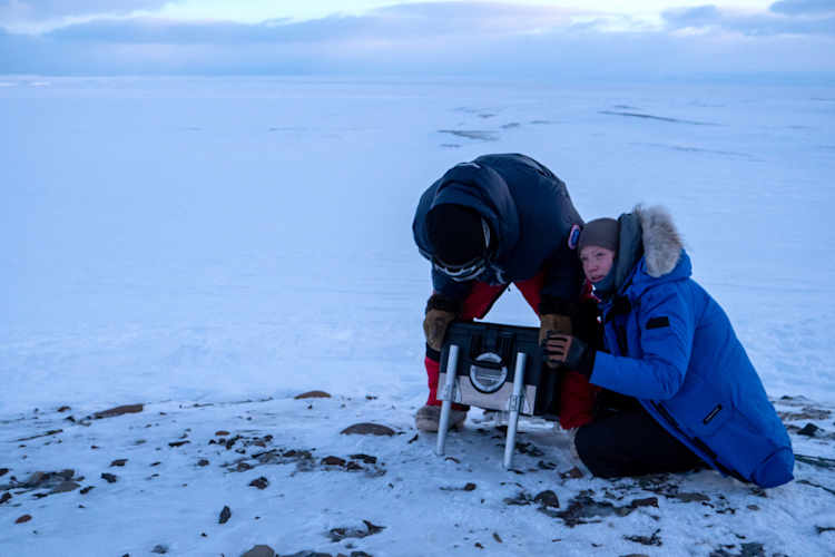BJ Kirschhoffer and Joanna Sulich set up a maternal den cam