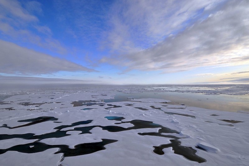 Bird's eye view of melting sea ice.