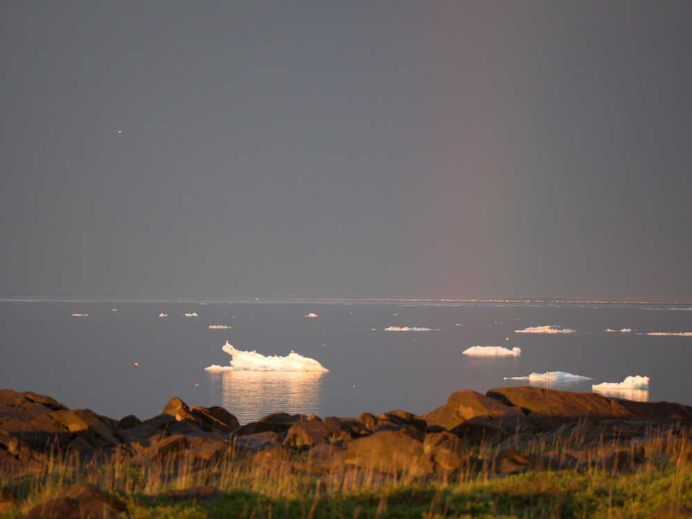 Chunks of sea ice float to the beach