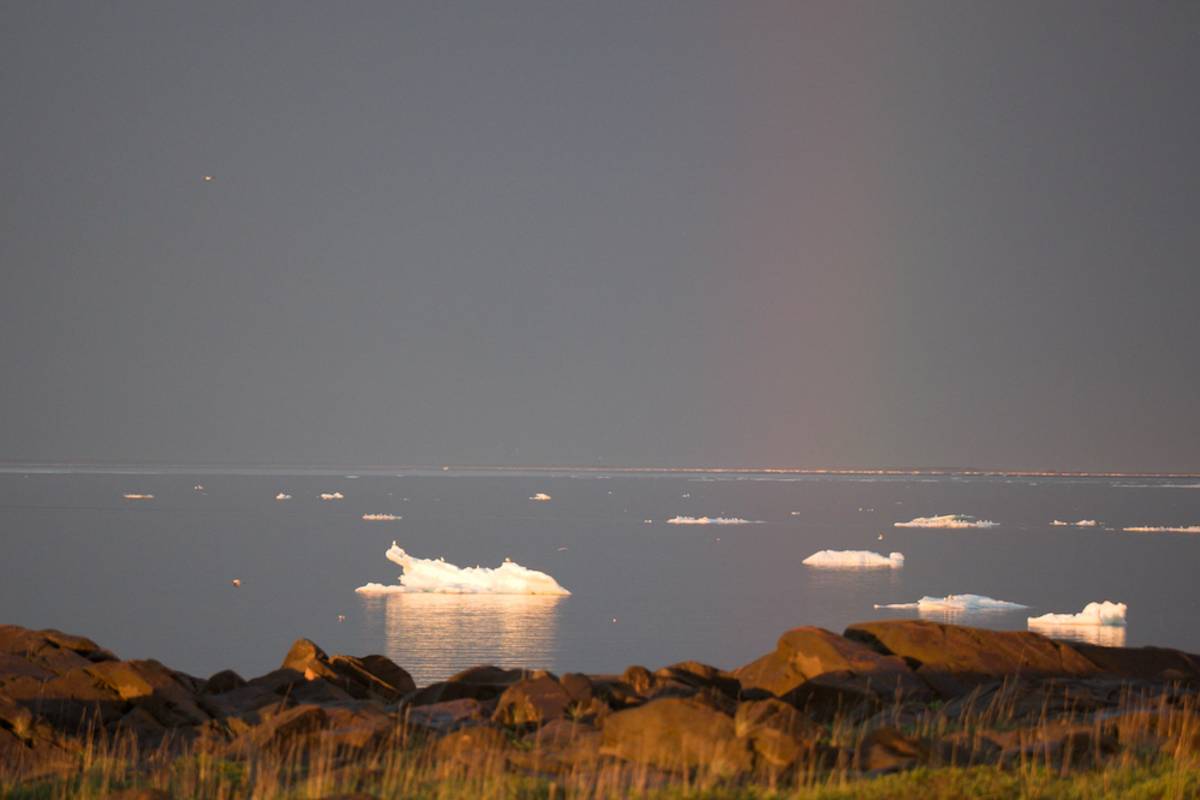 Chunks of sea ice float to the beach