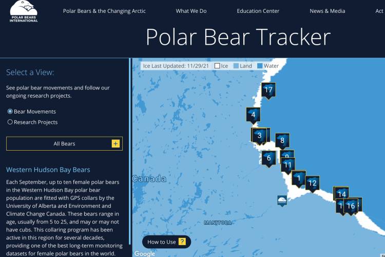 A screenshot of the Polar Bear Tracker map