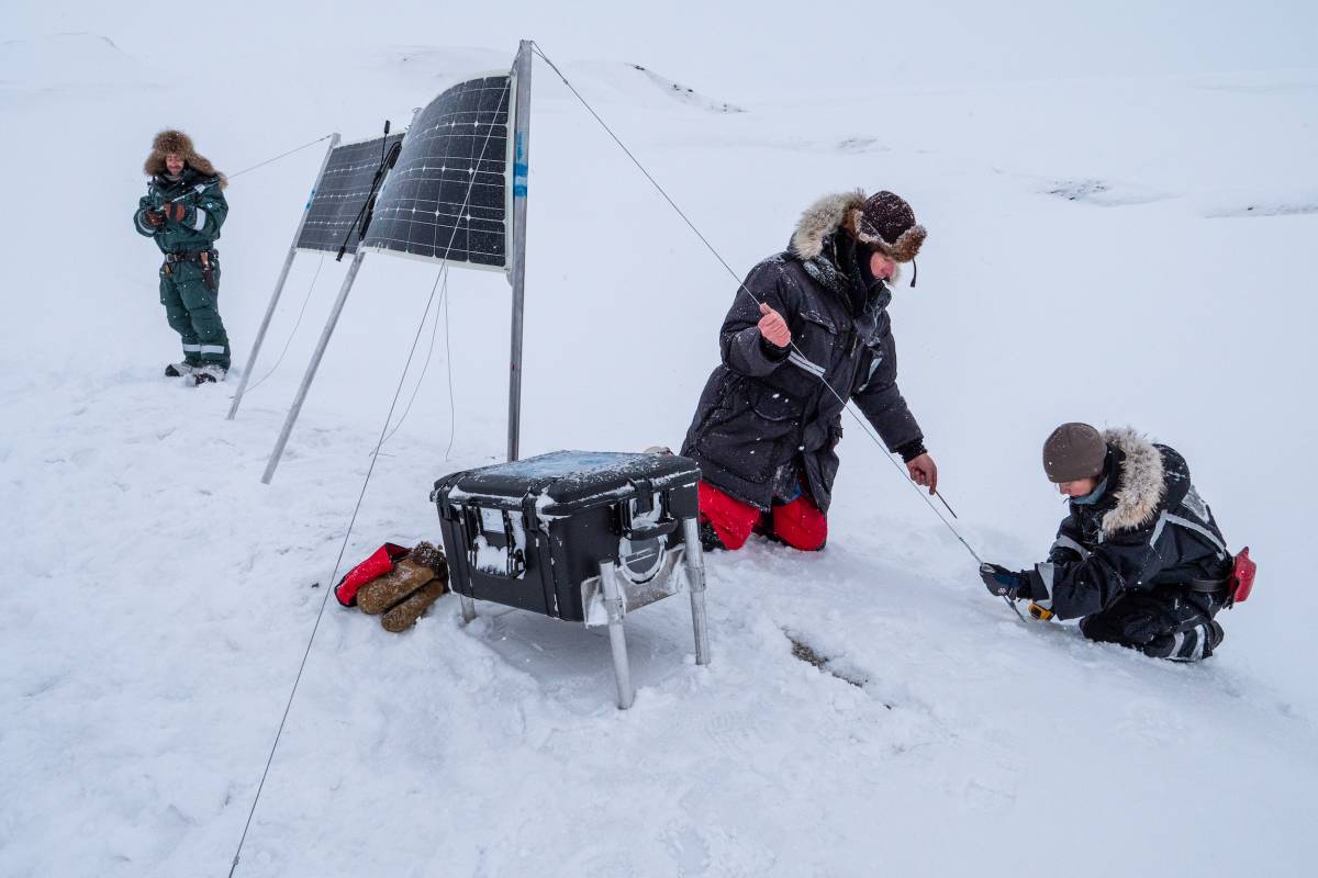 Researchers set up the maternal den cams and solar panels