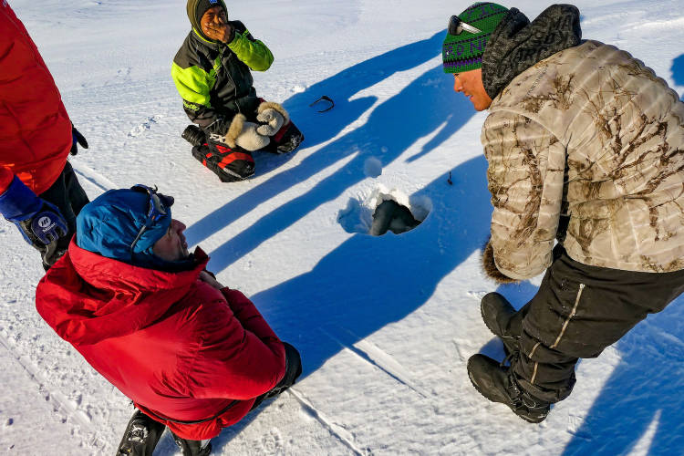 Terry Noah and Nolan Kiguktak, local Inuit hunters and outfitters, teach the team about maternal seal dens