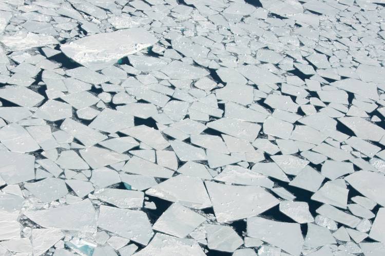 Arctic sea ice