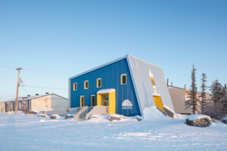 Polar Bear International House