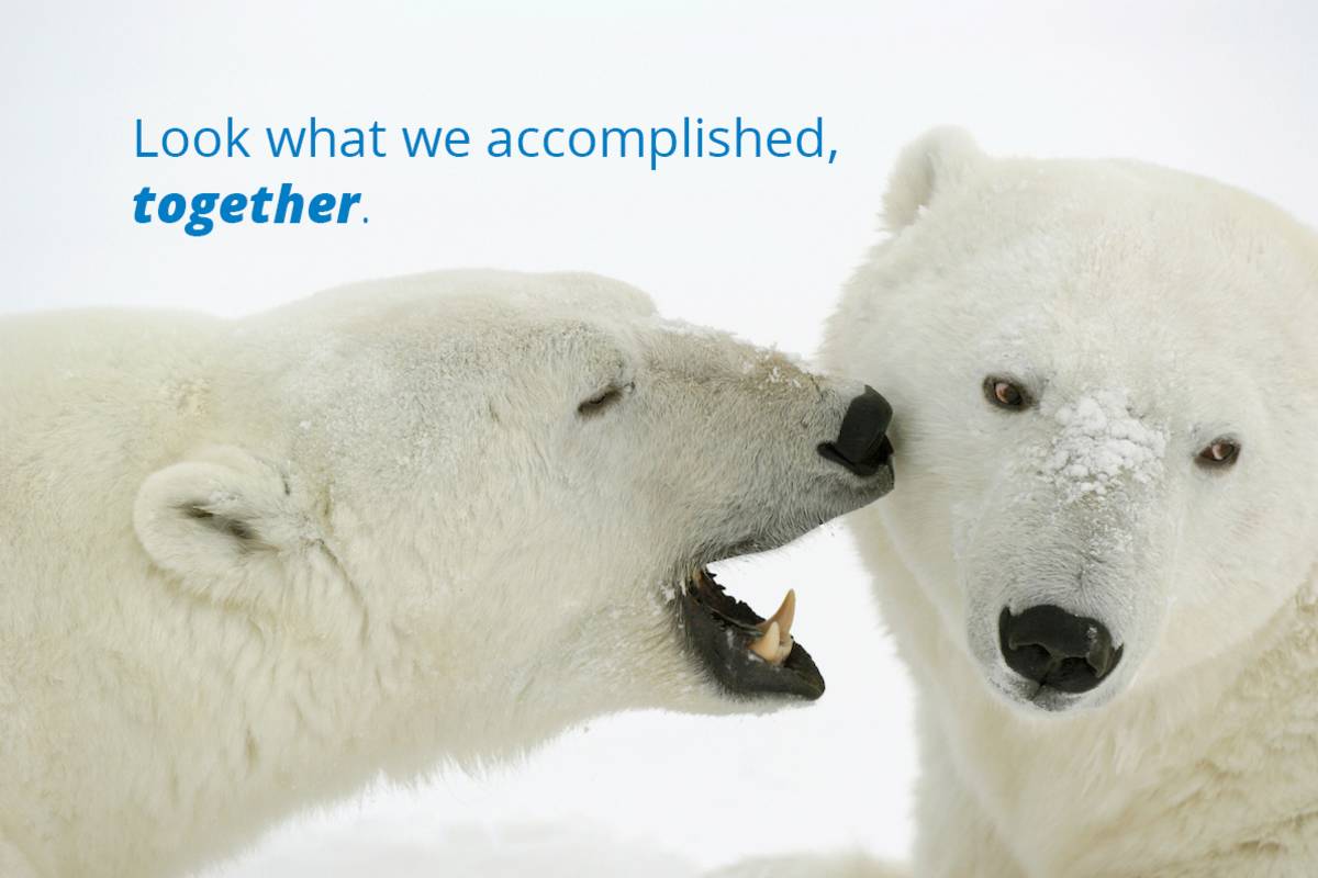 Portrait of two polar bears with text, "Look what we accomplished, together."