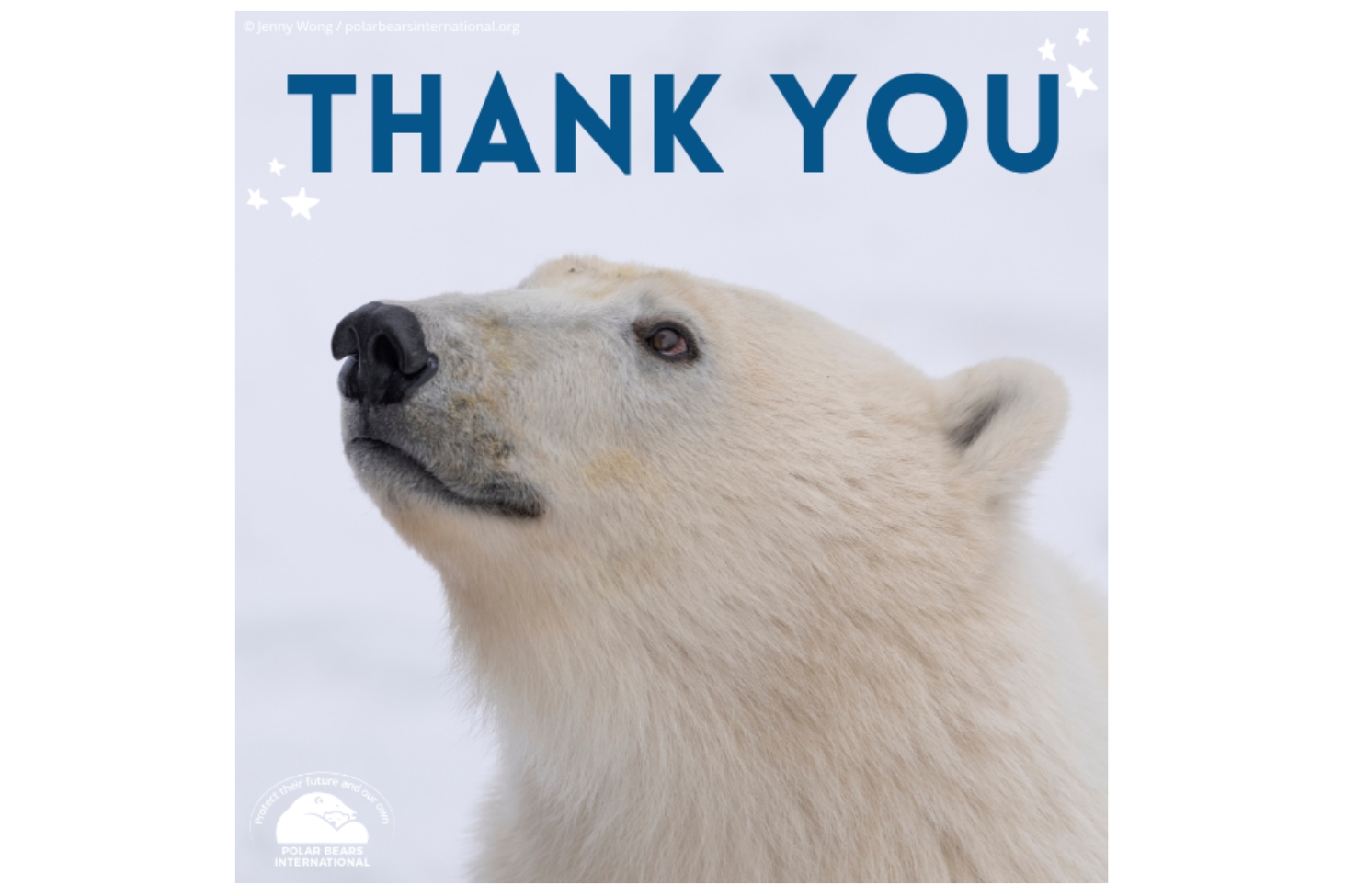 A polar bear mom and cub with the text, "Shop eCards"