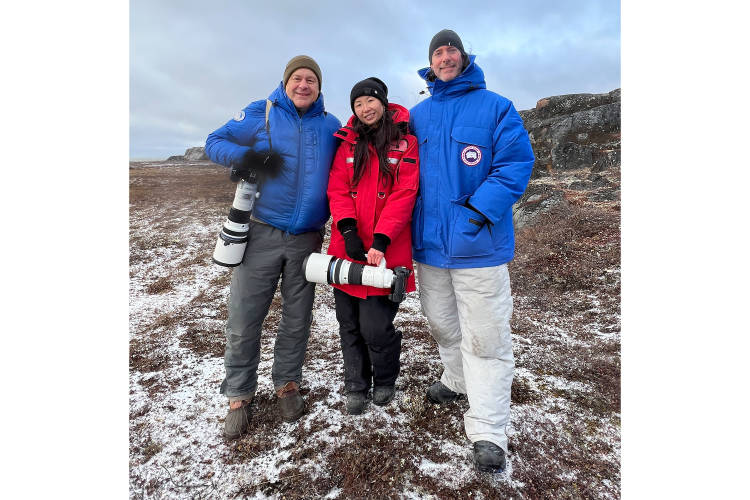 Daniel J. Cox, Jenny Wong, and Dave Sandford