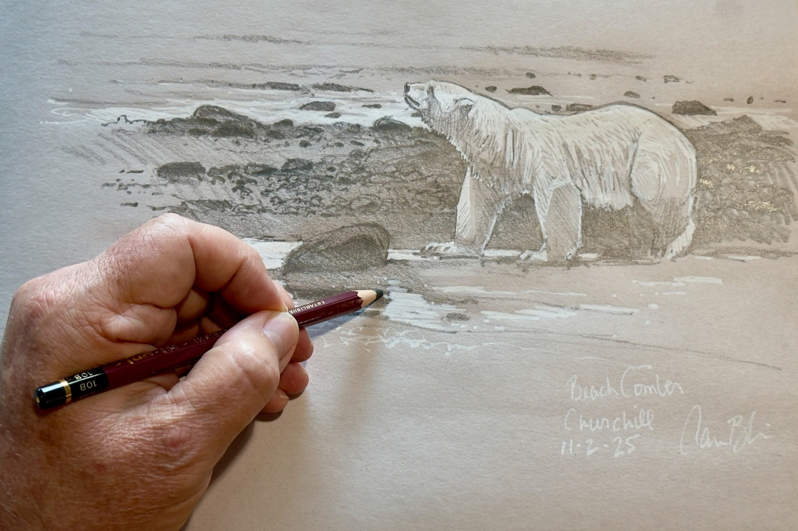 Polar bear illustration by Aaron Blaise