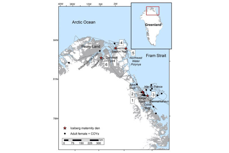 A map of polar bear dens in Greenland