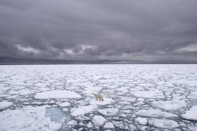 A polar bear stands on an ice floe among broken sea ice
