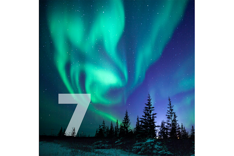 Northern lights over a forest in winter